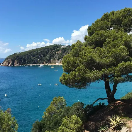 Appartement Bord De Mer